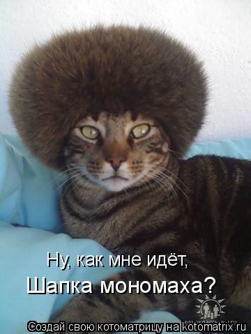 Ну, как мне идёт, Шапка мономаха?... Котоматрица: Ну, как мне идёт, Шапка мономаха?