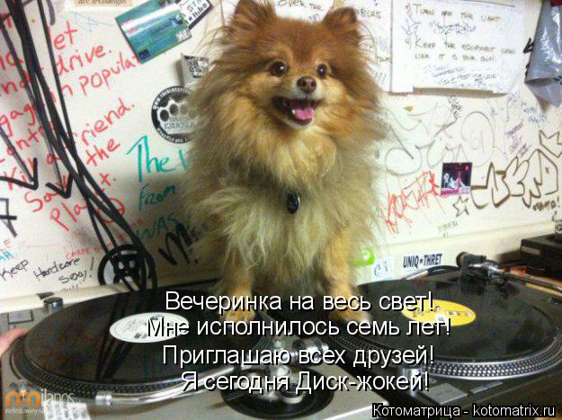 Котоматрица: Я сегодня Диск-жокей! Приглашаю всех друзей! Мне исполнилось семь лет! Вечеринка на весь свет!