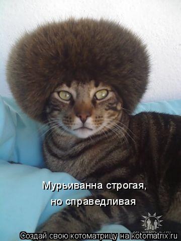 Мурьиванна строгая, но справедливая... Котоматрица: Мурьиванна строгая, но справедливая