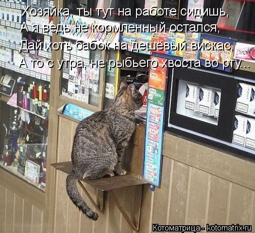 Котоматрица: Хозяйка, ты тут на работе сидишь, А я ведь не кормленный остался, Дай хоть бабок на дешёвый вискас, А то с утра, не рыбьего хвоста во рту...