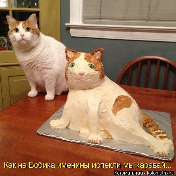 Котоматрица: Как на Бобика именины испекли мы каравай...