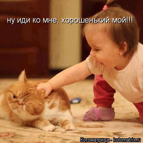Котоматрица: ну иди ко мне, хорошенький мой!!!