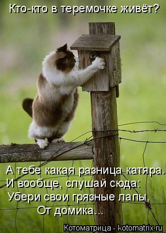 Кто-кто в теремочке живёт? А тебе какая разница катяра. И вообще, слушай сюда: Убери свои грязные лап... Котоматрица: Кто-кто в теремочке живёт? А тебе какая разница катяра. И вообще, слушай сюда: Убери свои грязные лапы, От домика...