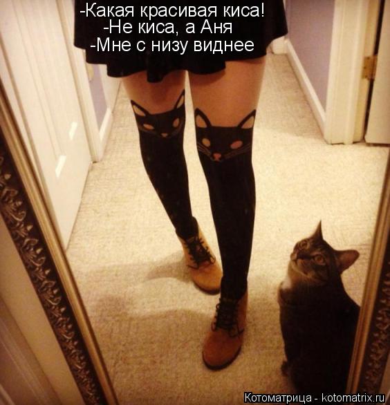 Котоматрица: -Какая красивая киса! -Не киса, а Аня -Мне с низу виднее