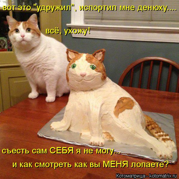 вот это "удружил", испортил мне денюху.... съесть сам СЕБЯ я не могу... и как смотреть как вы МЕНЯ ло... Котоматрица: вот это "удружил", испортил мне денюху.... съесть сам СЕБЯ я не могу... и как смотреть как вы МЕНЯ лопаете? всё, ухожу!