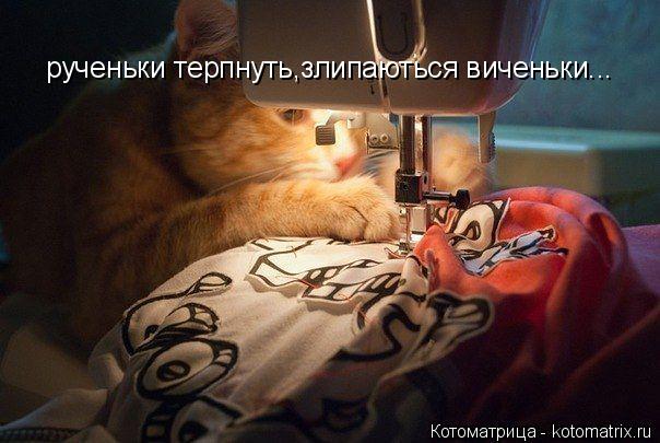 рученьки терпнуть,злипаються виченьки...... Котоматрица: рученьки терпнуть,злипаються виченьки...