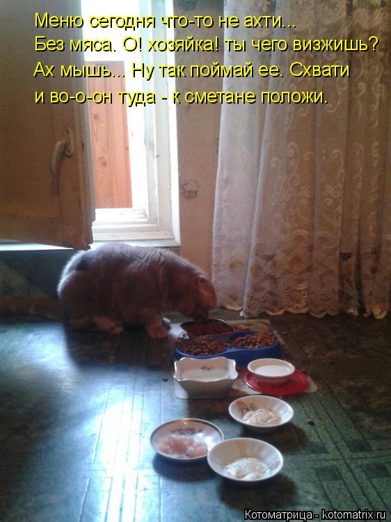 Меню сегодня что-то не ахти... Без мяса. О! хозяйка! ты чего визжишь? Ах мышь... Ну так поймай ее. Сх... Котоматрица: Меню сегодня что-то не ахти... Без мяса. О! хозяйка! ты чего визжишь? Ах мышь... Ну так поймай ее. Схвати и во-о-он туда - к сметане положи.