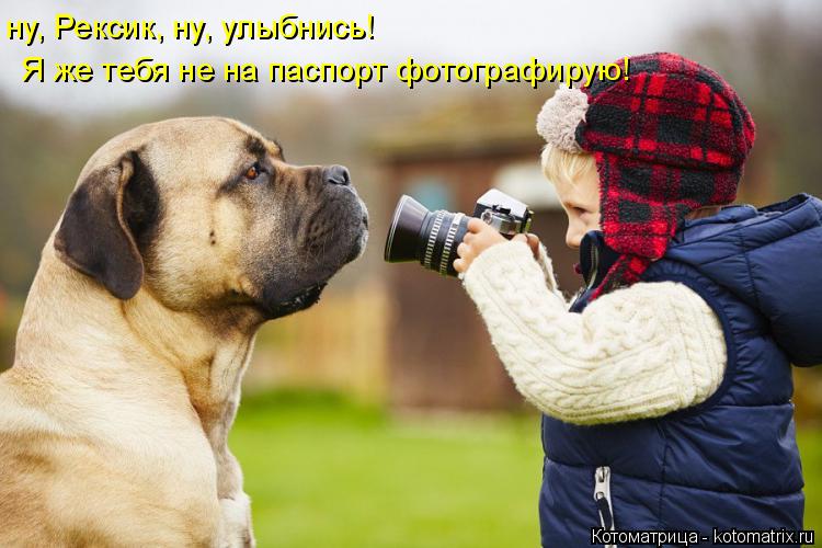 Котоматрица: ну, Рексик, ну, улыбнись!   Я же тебя не на паспорт фотографирую!