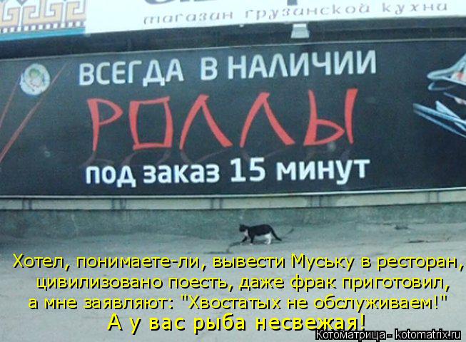 Хотел, понимаете-ли, вывести Муську в ресторан, цивилизовано поесть, даже фрак приготовил, а мне заяв... Котоматрица: Хотел, понимаете-ли, вывести Муську в ресторан, цивилизовано поесть, даже фрак приготовил, а мне заявляют: "Хвостатых не обслуживаем!" А у вас