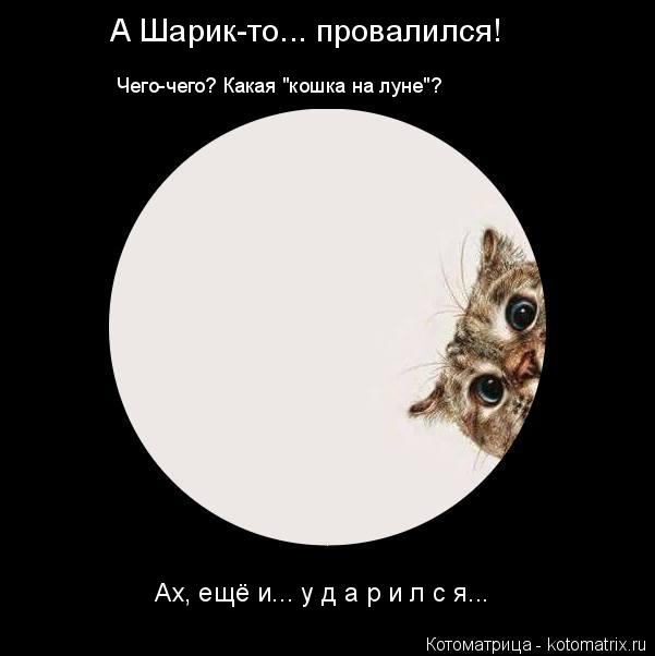 А Шарик-то... провалился! Ах, ещё и... у д а р и л с я... Чего-чего? Какая "кошка на луне"?... Котоматрица: А Шарик-то... провалился! Ах, ещё и... у д а р и л с я... Чего-чего? Какая "кошка на луне"?