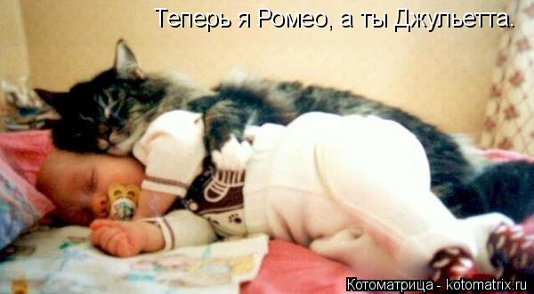 Теперь я Ромео, а ты Джульетта.... Котоматрица: Теперь я Ромео, а ты Джульетта.