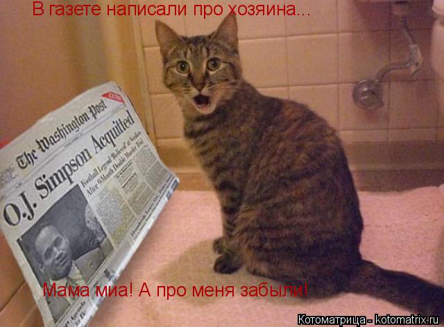 В газете написали про хозяина... Мама миа! А про меня забыли!... Котоматрица: В газете написали про хозяина... Мама миа! А про меня забыли!