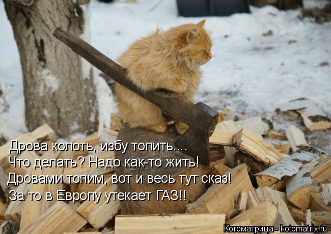 Котоматрица: Дрова колоть, избу топить.... Что делать? Надо как-то жить! Дровами топим, вот и весь тут сказ! За то в Европу утекает ГАЗ!!