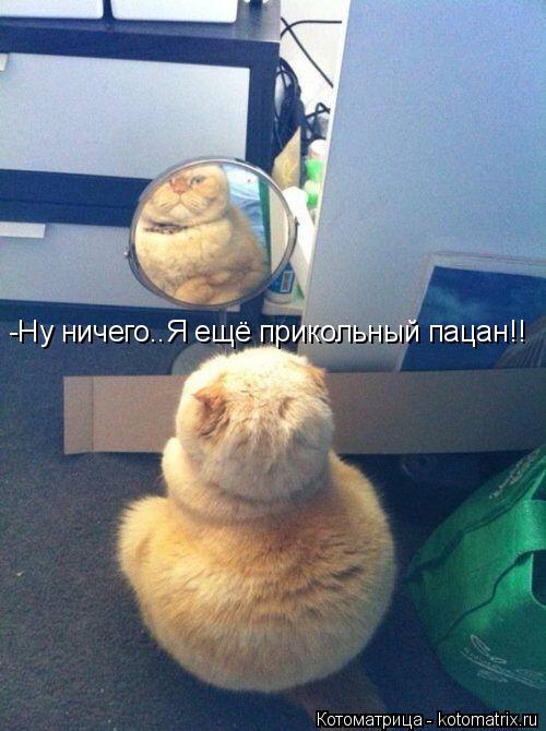 -Ну ничего..Я ещё прикольный пацан!!... Котоматрица: -Ну ничего..Я ещё прикольный пацан!!