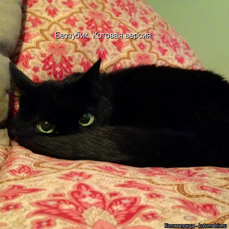 Беззубик. Котовая версия.... Котоматрица: Беззубик. Котовая версия.
