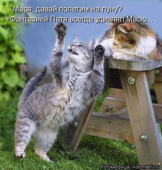 -Мася, давай полетим на луну? Фантазией Патя всегда удивлял Масю...... Котоматрица: -Мася, давай полетим на луну? Фантазией Патя всегда удивлял Масю...