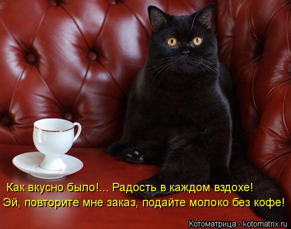 Как вкусно было!... Радость в каждом вздохе! Эй, повторите мне заказ, подайте молоко без кофе!... Котоматрица: Как вкусно было!... Радость в каждом вздохе! Эй, повторите мне заказ, подайте молоко без кофе!