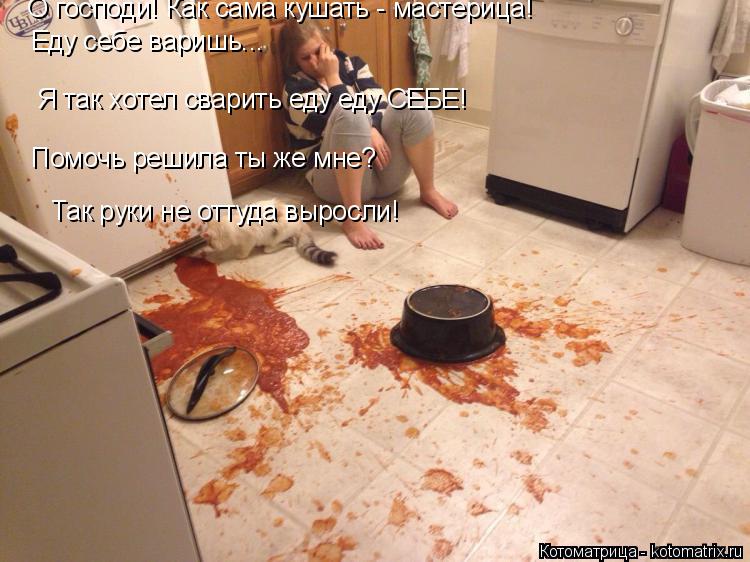 Котоматрица: О господи! Как сама кушать - мастерица! Еду себе варишь... Я так хотел сварить еду еду СЕБЕ! Помочь решила ты же мне?  Так руки не оттуда выросли