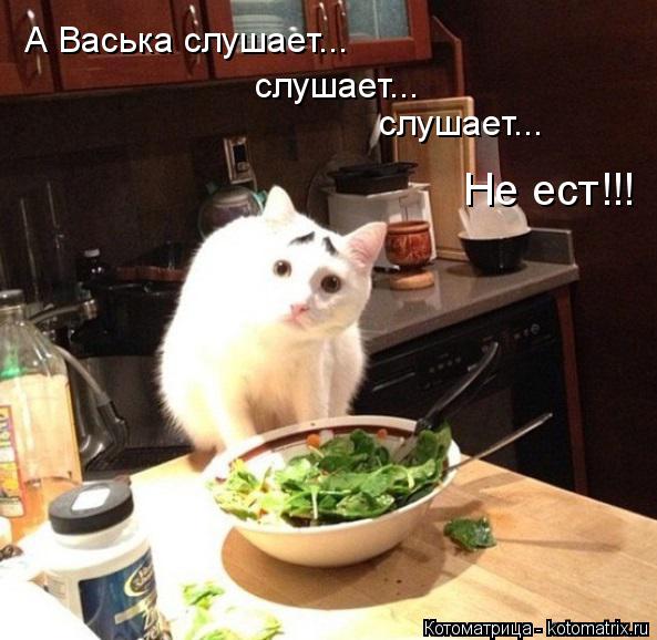 Котоматрица: А Васька слушает... слушает... слушает... Не ест!!!