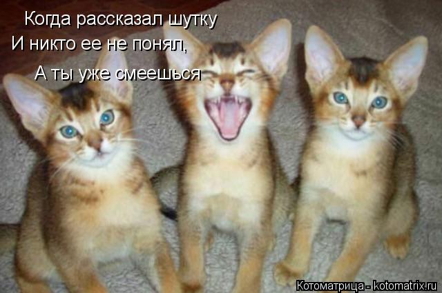Когда рассказал шутку И никто ее не понял, А ты уже смеешься... Котоматрица: Когда рассказал шутку И никто ее не понял, А ты уже смеешься