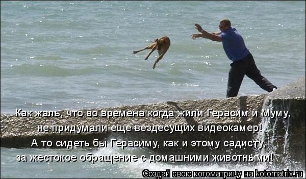 Как жаль, что во времена когда жили Герасим и Муму, не придумали еще вездесущих видеокамер! А то сиде... Котоматрица: Как жаль, что во времена когда жили Герасим и Муму, не придумали еще вездесущих видеокамер! А то сидеть бы Герасиму, как и этому садисту, за ж