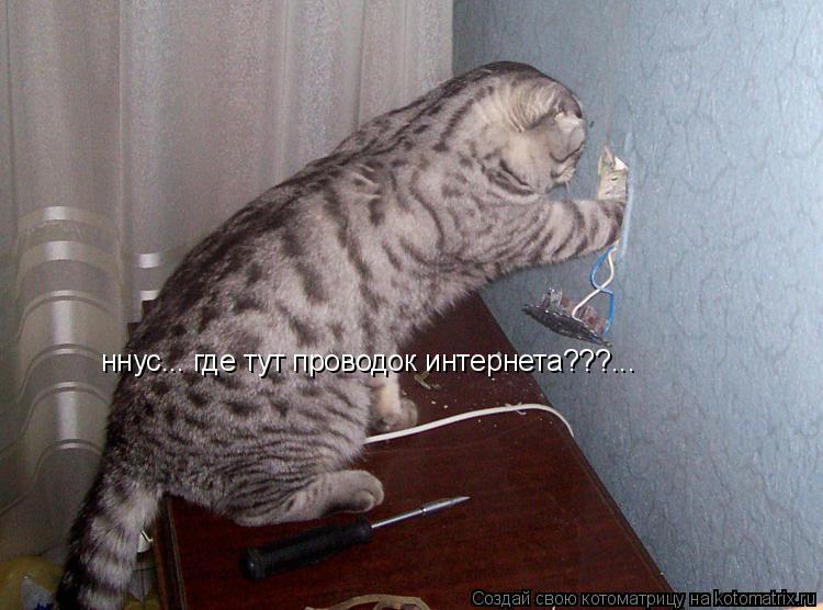 ннус... где тут проводок интернета???... ннус... где тут проводок интернета???... ннус... где тут про... Котоматрица: ннус... где тут проводок интернета???... ннус... где тут проводок интернета???... ннус... где тут проводок интернета???...