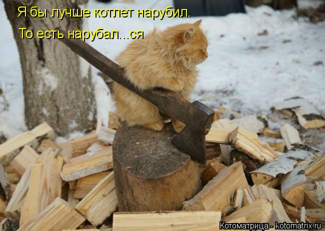Я бы лучше котлет нарубил. То есть нарубал...ся... Котоматрица: Я бы лучше котлет нарубил. То есть нарубал...ся