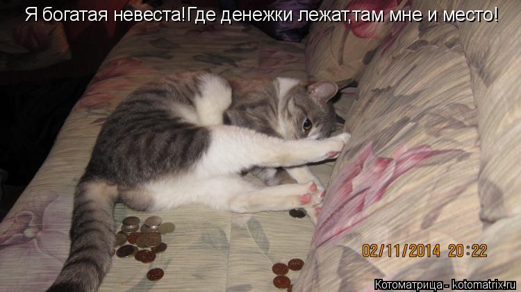 Я богатая невеста!Где денежки лежат,там мне и место!... Котоматрица: Я богатая невеста!Где денежки лежат,там мне и место!