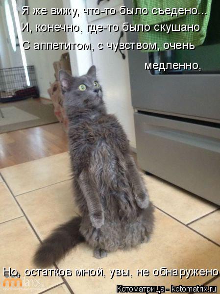 Я же вижу, что-то было съедено... И, конечно, где-то было скушано С аппетитом, с чувством, очень ... Котоматрица: Я же вижу, что-то было съедено... И, конечно, где-то было скушано С аппетитом, с чувством, очень медленно, Но, остатков мной, увы, не обнаружен