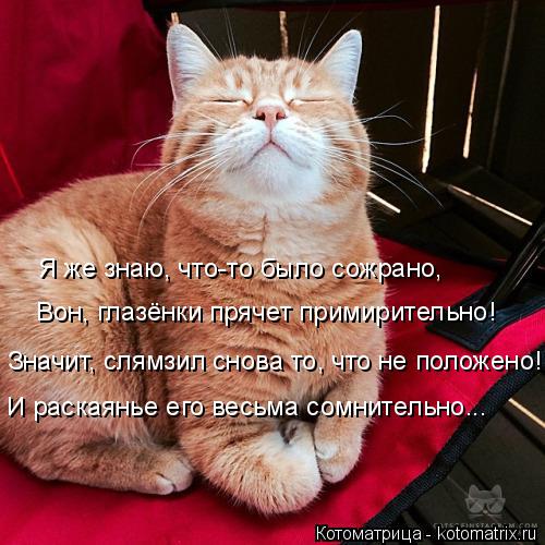 Я же знаю, что-то было сожрано, Вон, глазёнки прячет примирительно! Значит, слямзил снова то, что н... Котоматрица: Я же знаю, что-то было сожрано, Вон, глазёнки прячет примирительно! Значит, слямзил снова то, что не положено! И раскаянье его весьма сомнит