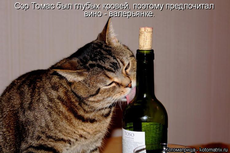 Сэр Томас был глубых кровей, поэтому предпочитал вино - валерьянке.... Котоматрица: Сэр Томас был глубых кровей, поэтому предпочитал вино - валерьянке.