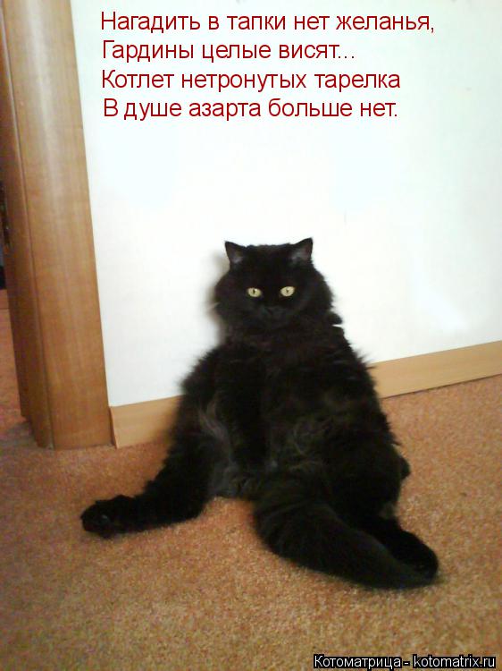 Нагадить в тапки нет желанья, Гардины целые висят... Котлет нетронутых тарелка В душе азарта больше н... Котоматрица: Нагадить в тапки нет желанья, Гардины целые висят... Котлет нетронутых тарелка В душе азарта больше нет.