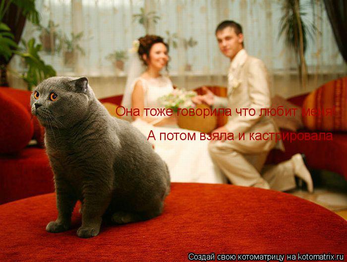 Она тоже говорила что любит меня! А потом взяла и кастрировала... Котоматрица: Она тоже говорила что любит меня! А потом взяла и кастрировала