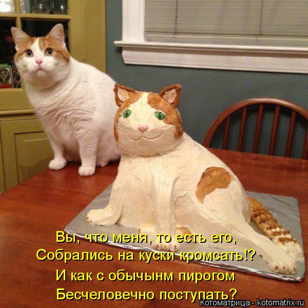 Собрались на куски кромсать!? Вы, что меня, то есть его, И как с обычынм пирогом Бесчеловечно посту... Котоматрица: Собрались на куски кромсать!? Вы, что меня, то есть его, И как с обычынм пирогом Бесчеловечно поступать?