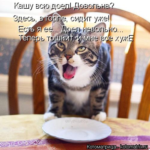 Кашу всю доел! Довольна? Здесь, в горле, сидит уже! Есть я ее... Доел невольно... Теперь тошнит, и мн... Котоматрица: Кашу всю доел! Довольна? Здесь, в горле, сидит уже! Есть я ее... Доел невольно... Теперь тошнит, и мне все хужЕ