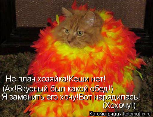 Не плач,хозяйка!Кеши нет! (Ах!Вкусный был какой обед!) Я заменить его хочу!Вот нарядилась! (Хохочу!)... Котоматрица: Не плач,хозяйка!Кеши нет! (Ах!Вкусный был какой обед!) Я заменить его хочу!Вот нарядилась! (Хохочу!)