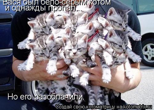Вася был бело-серым котом и однажды пропал... Но его разоблачили.... Котоматрица: Вася был бело-серым котом и однажды пропал... Но его разоблачили.