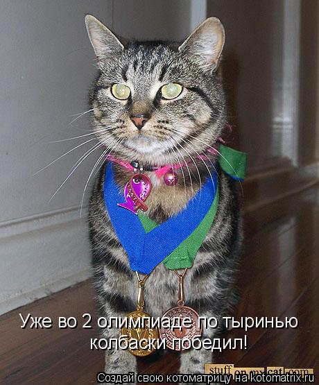 Уже во 2 олимпиаде по тыринью колбаски победил!... Котоматрица: Уже во 2 олимпиаде по тыринью колбаски победил!