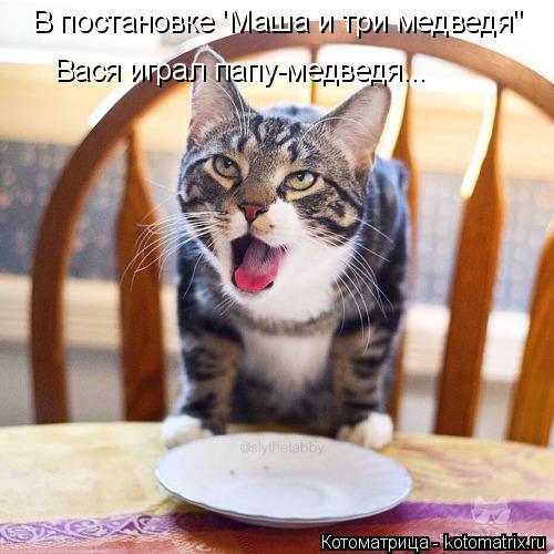 В постановке 'Маша и три медведя" Вася играл папу-медведя...... Котоматрица: В постановке 'Маша и три медведя" Вася играл папу-медведя...