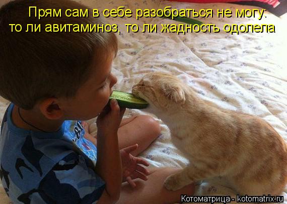 Прям сам в себе разобраться не могу: то ли авитаминоз, то ли жадность одолела... Котоматрица: Прям сам в себе разобраться не могу: то ли авитаминоз, то ли жадность одолела