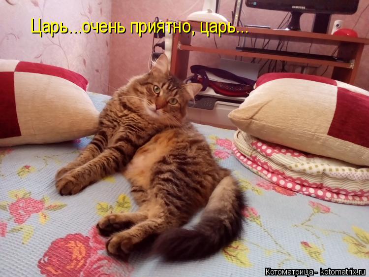 Царь...очень приятно, царь...... Котоматрица: Царь...очень приятно, царь...