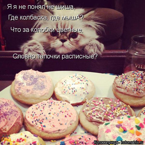 Я я не понял не шиша, Где колбаска, где мышА? Что за колобки цветные, Словно тапочки расписные?... Котоматрица: Я я не понял не шиша, Где колбаска, где мышА? Что за колобки цветные, Словно тапочки расписные?