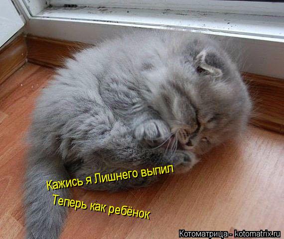 Кажись я Лишнего выпил Теперь как ребёнок... Котоматрица: Кажись я Лишнего выпил Теперь как ребёнок