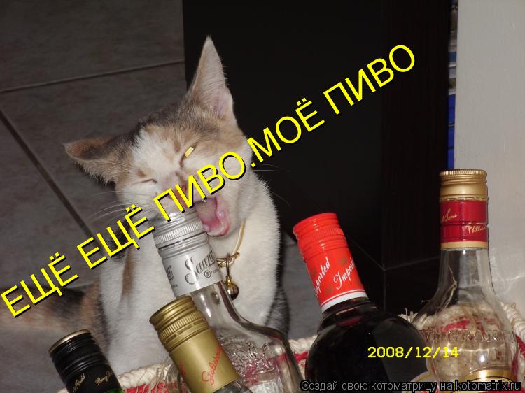 ЕЩЁ ЕЩЁ ПИВО.МОЁ ПИВО... Котоматрица: ЕЩЁ ЕЩЁ ПИВО.МОЁ ПИВО