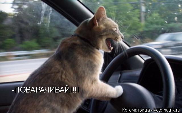 -ПОВАРАЧИВАЙ!!!!... Котоматрица: -ПОВАРАЧИВАЙ!!!!