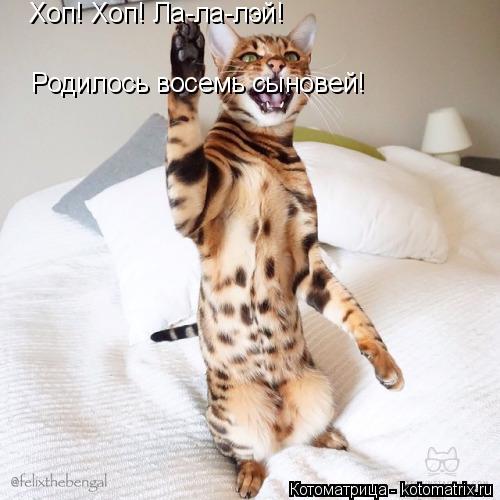 Котоматрица: Хоп! Хоп! Ла-ла-лэй!  Родилось восемь сыновей!