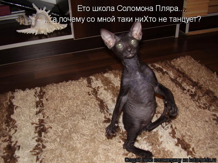 Ето школа Соломона Пляра.... ....а почему со мной таки ниХто не танцует?... Котоматрица: Ето школа Соломона Пляра.... ....а почему со мной таки ниХто не танцует?