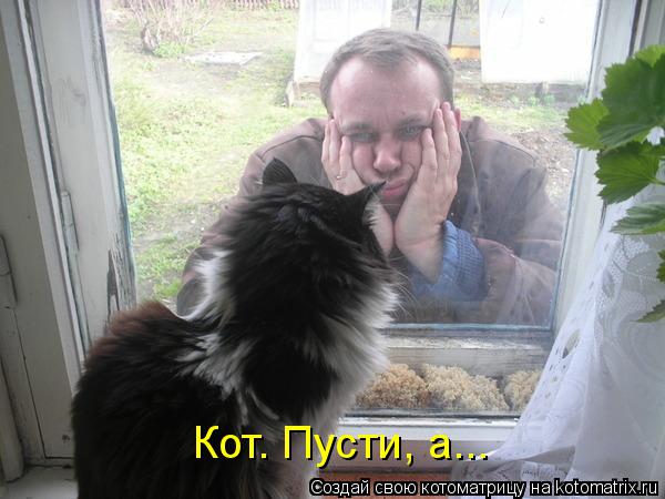 Кот. Пусти, а...... Котоматрица: Кот. Пусти, а...