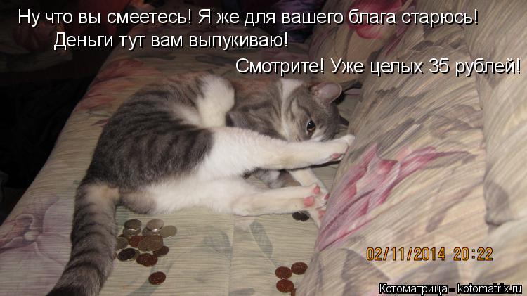 Ну что вы смеетесь! Я же для вашего блага старюсь! Деньги тут вам выпукиваю! Смотрите! Уже целых 35 р... Котоматрица: Ну что вы смеетесь! Я же для вашего блага старюсь! Деньги тут вам выпукиваю! Смотрите! Уже целых 35 рублей!
