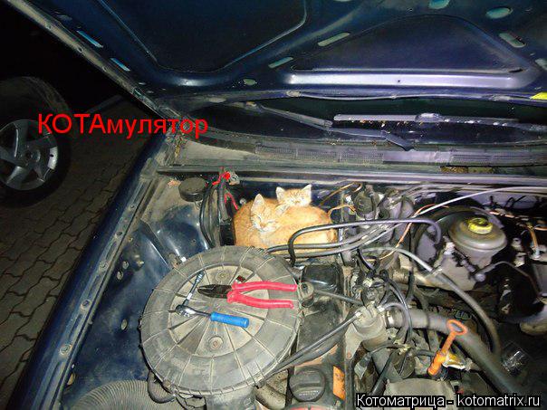 КОТАмулятор... Котоматрица: КОТАмулятор